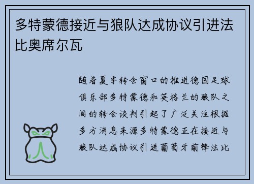 多特蒙德接近与狼队达成协议引进法比奥席尔瓦