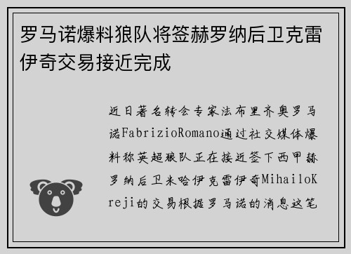 罗马诺爆料狼队将签赫罗纳后卫克雷伊奇交易接近完成