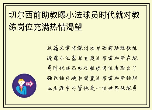 切尔西前助教曝小法球员时代就对教练岗位充满热情渴望